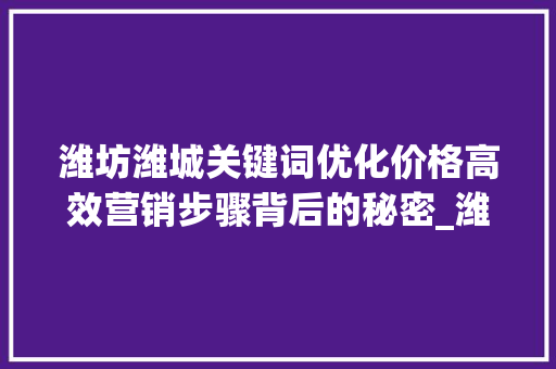 潍坊潍城关键词优化价格高效营销步骤背后的秘密_潍坊潍城关键词优化价格