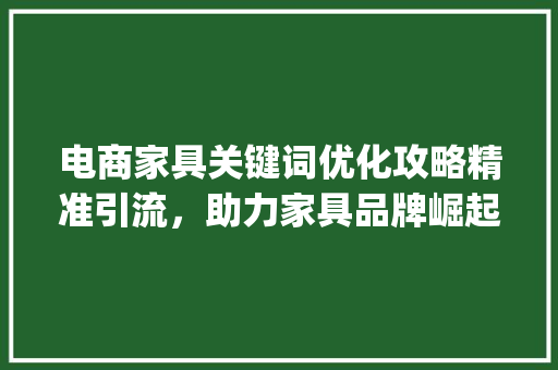 电商家具关键词优化攻略精准引流，助力家具品牌崛起_电商家具关键词优化方法