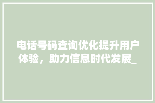 电话号码查询优化提升用户体验，助力信息时代发展_优化关键词电话号码查询