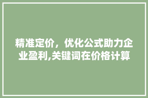 精准定价，优化公式助力企业盈利,关键词在价格计算中的应用_关键词优化价格计算公式