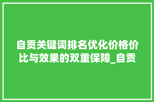 自贡关键词排名优化价格价比与效果的双重保障_自贡关键词排名优化价格