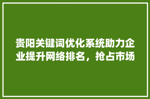 贵阳关键词优化系统助力企业提升网络排名，抢占市场先机_贵阳关键词优化系统排名