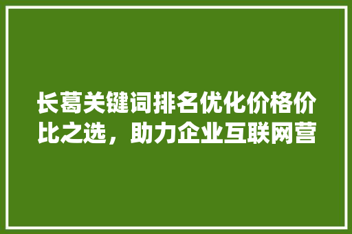 长葛关键词排名优化价格价比之选，助力企业互联网营销_长葛关键词排名优化价格  第1张