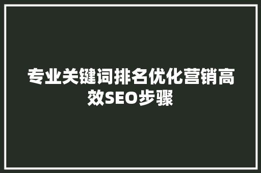专业关键词排名优化营销高效SEO步骤