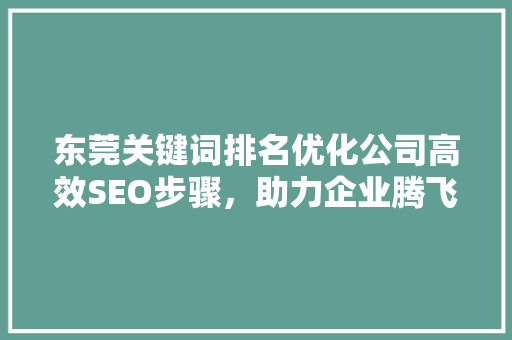 东莞关键词排名优化公司高效SEO步骤，助力企业腾飞