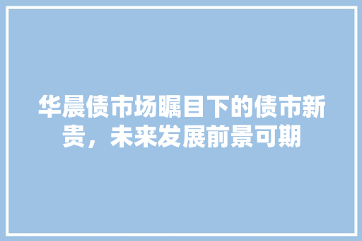 华晨债市场瞩目下的债市新贵，未来发展前景可期