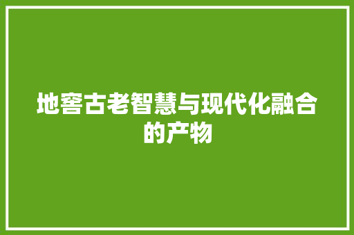 地窖古老智慧与现代化融合的产物
