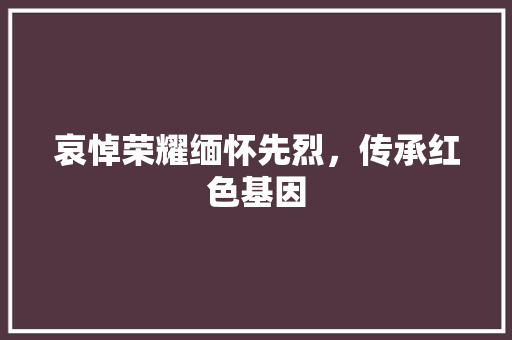 哀悼荣耀缅怀先烈，传承红色基因