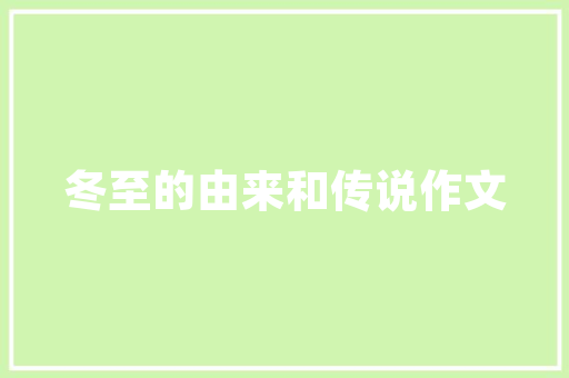 喵语代码探寻编程世界中的趣味与智慧