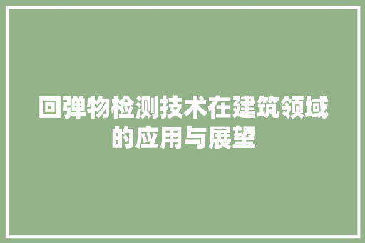 回弹物检测技术在建筑领域的应用与展望