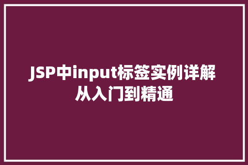 JSP中input标签实例详解从入门到精通  第1张