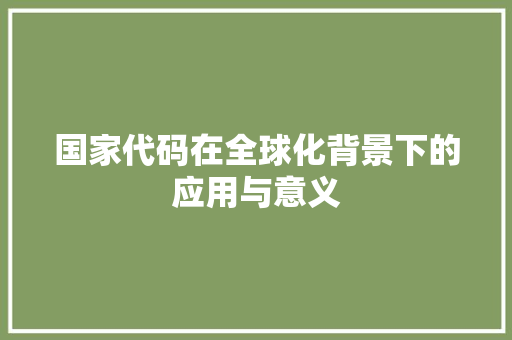 国家代码在全球化背景下的应用与意义