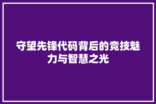 守望先锋代码背后的竞技魅力与智慧之光