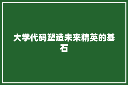 大学代码塑造未来精英的基石