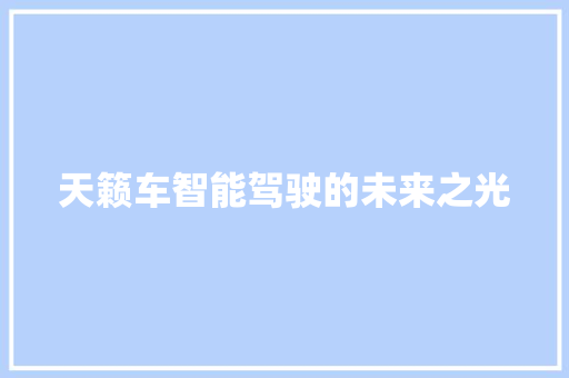 天籁车智能驾驶的未来之光
