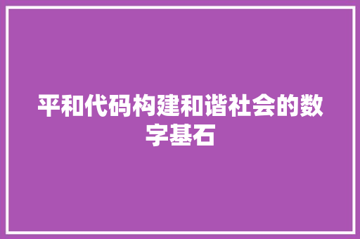 平和代码构建和谐社会的数字基石