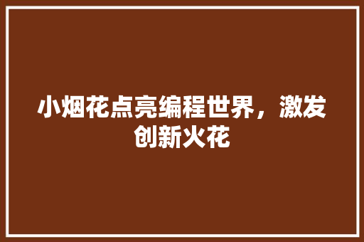 小烟花点亮编程世界，激发创新火花