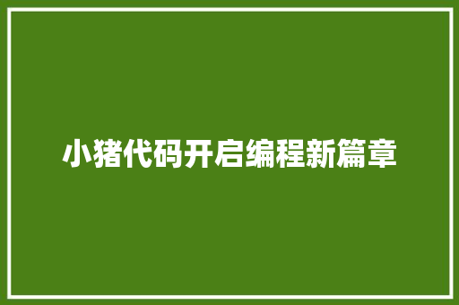 小猪代码开启编程新篇章