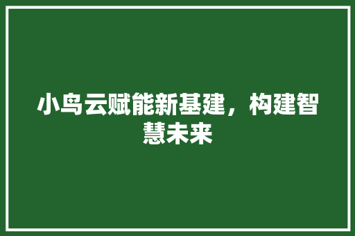 小鸟云赋能新基建，构建智慧未来