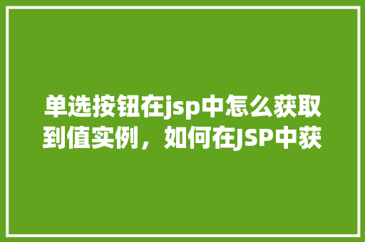 单选按钮在jsp中怎么获取到值实例，如何在JSP中获取单选按钮的值实例演示  第1张
