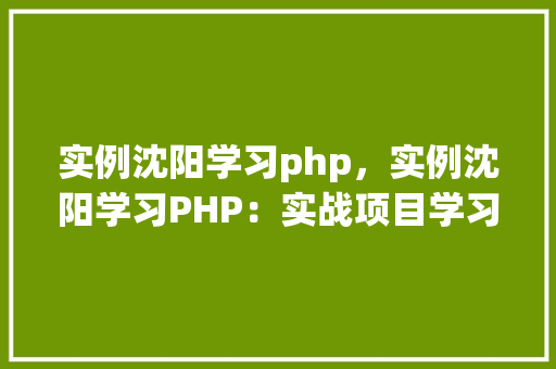 实例沈阳学习php，实例沈阳学习PHP：实战项目学习指南