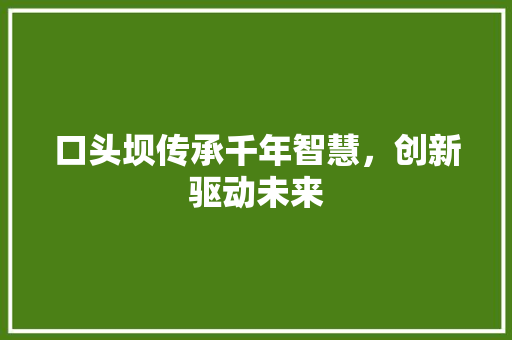 口头坝传承千年智慧，创新驱动未来