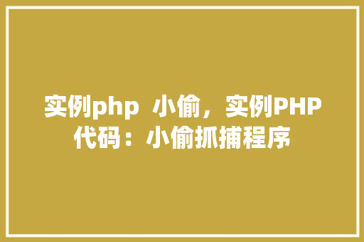 实例php  小偷，实例PHP代码：小偷抓捕程序