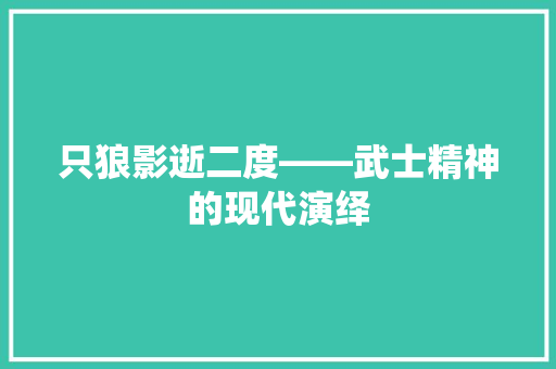 只狼影逝二度——武士精神的现代演绎  第1张