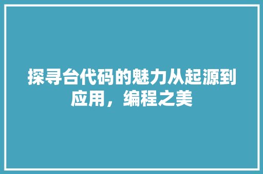 探寻台代码的魅力从起源到应用，编程之美  第1张