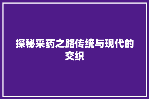 探秘采药之路传统与现代的交织