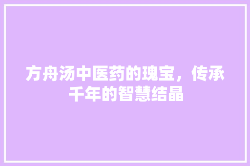 方舟汤中医药的瑰宝，传承千年的智慧结晶  第1张