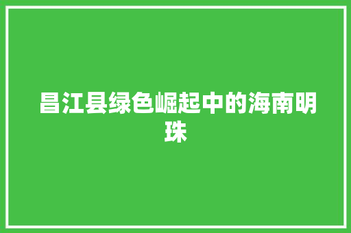 昌江县绿色崛起中的海南明珠  第1张