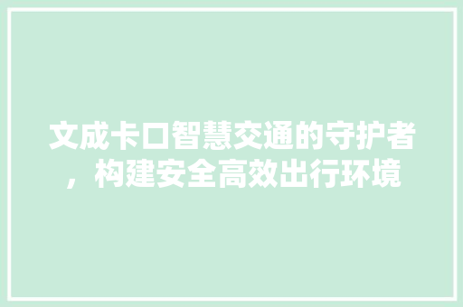 文成卡口智慧交通的守护者，构建安全高效出行环境