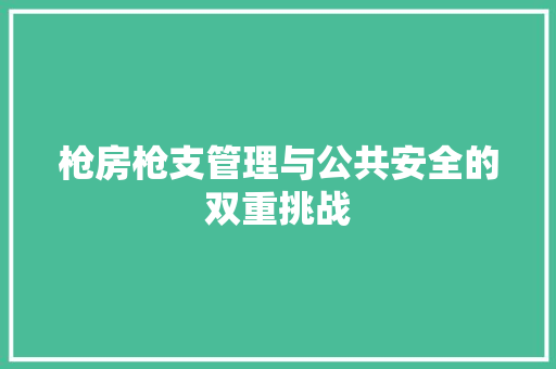 枪房枪支管理与公共安全的双重挑战