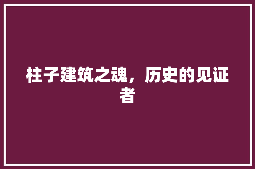 柱子建筑之魂，历史的见证者