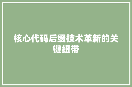 核心代码后缀技术革新的关键纽带