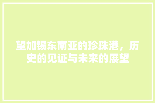 望加锡东南亚的珍珠港，历史的见证与未来的展望  第1张