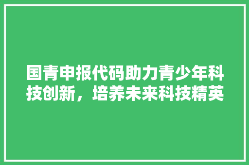 国青申报代码助力青少年科技创新，培养未来科技精英  第1张