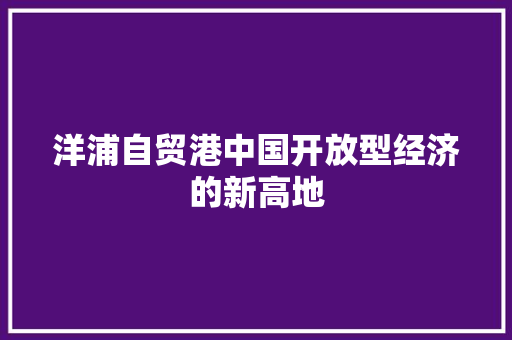 洋浦自贸港中国开放型经济的新高地