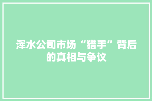 浑水公司市场“猎手”背后的真相与争议