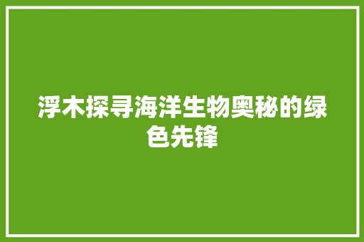 浮木探寻海洋生物奥秘的绿色先锋