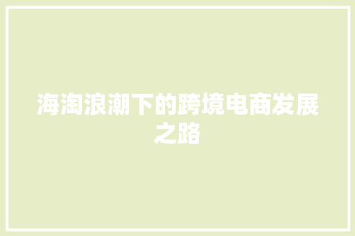 海淘浪潮下的跨境电商发展之路