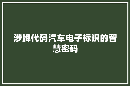 涉牌代码汽车电子标识的智慧密码