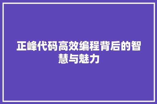 正峰代码高效编程背后的智慧与魅力