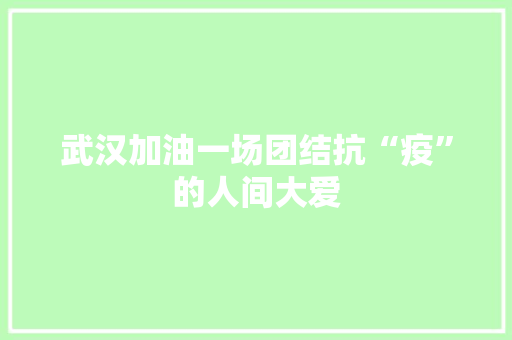 武汉加油一场团结抗“疫”的人间大爱