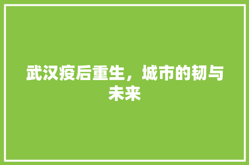 武汉疫后重生，城市的韧与未来