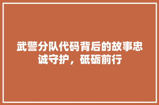 武警分队代码背后的故事忠诚守护，砥砺前行  第1张