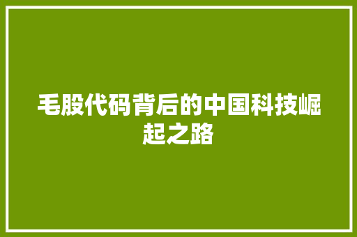 毛股代码背后的中国科技崛起之路
