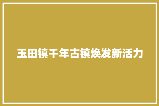 玉田镇千年古镇焕发新活力