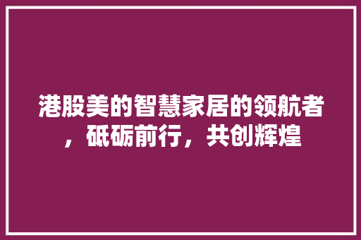 港股美的智慧家居的领航者，砥砺前行，共创辉煌